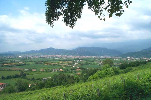 Image of the Trevisco piedmont