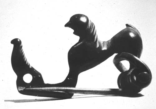 Image of spinx fibula