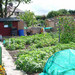 Allotment Gardens: A Reflection of History, Heritage, Community and Self