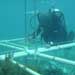 Mexican Underwater Archaeology and Some of its Challenges and Solutions